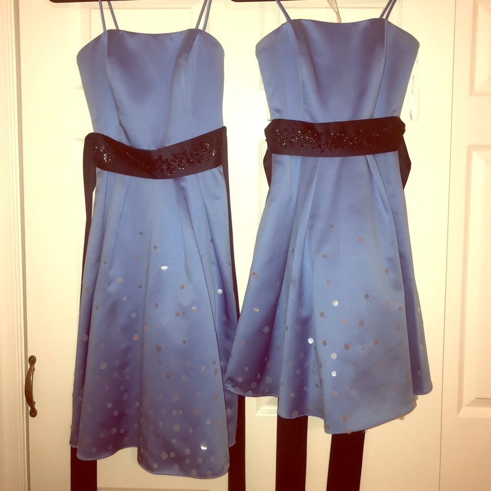 Blue sparkle bridesmaids dresses (2)